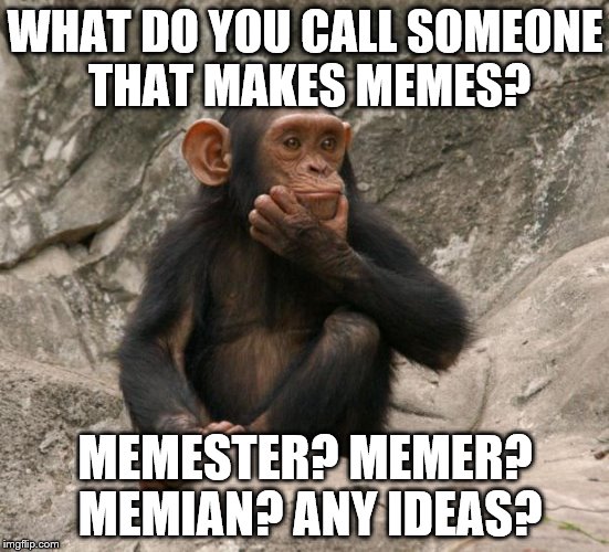 Let the argument commence. (I'm going for "memester" but feel free...) | WHAT DO YOU CALL SOMEONE THAT MAKES MEMES? MEMESTER? MEMER? MEMIAN? ANY IDEAS? | image tagged in questioning monkey,memes | made w/ Imgflip meme maker