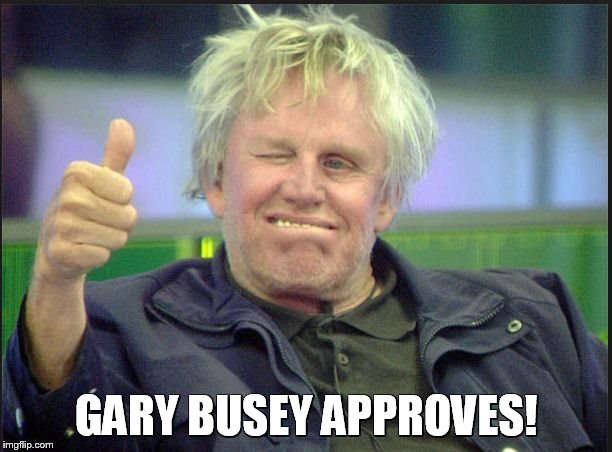 gary | GARY BUSEY APPROVES! | image tagged in gary | made w/ Imgflip meme maker