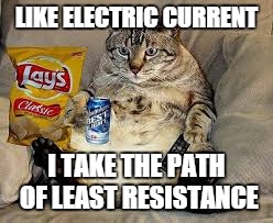 Lazy cat | LIKE ELECTRIC CURRENT I TAKE THE PATH OF LEAST RESISTANCE | image tagged in memes,hilarious | made w/ Imgflip meme maker