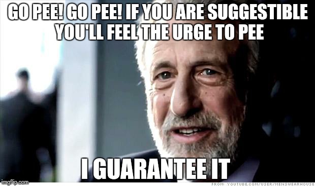 I Guarantee It | GO PEE! GO PEE! IF YOU ARE SUGGESTIBLE YOU'LL FEEL THE URGE TO PEE I GUARANTEE IT | image tagged in memes,i guarantee it | made w/ Imgflip meme maker