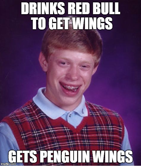I thought of this while watching a Red Bull commercial. | DRINKS RED BULL TO GET WINGS GETS PENGUIN WINGS | image tagged in memes,bad luck brian | made w/ Imgflip meme maker