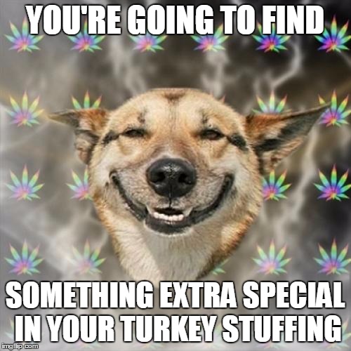 Stoner Dog | YOU'RE GOING TO FIND SOMETHING EXTRA SPECIAL IN YOUR TURKEY STUFFING | image tagged in memes,stoner dog | made w/ Imgflip meme maker