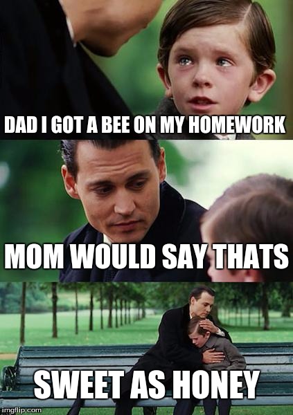 Finding Neverland | DAD I GOT A BEE ON MY HOMEWORK MOM WOULD SAY THATS SWEET AS HONEY | image tagged in memes,finding neverland | made w/ Imgflip meme maker