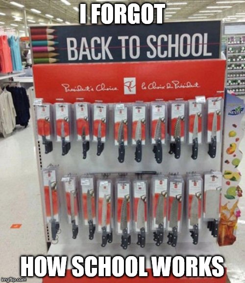 i forgot | I FORGOT HOW SCHOOL WORKS | image tagged in i forgot | made w/ Imgflip meme maker