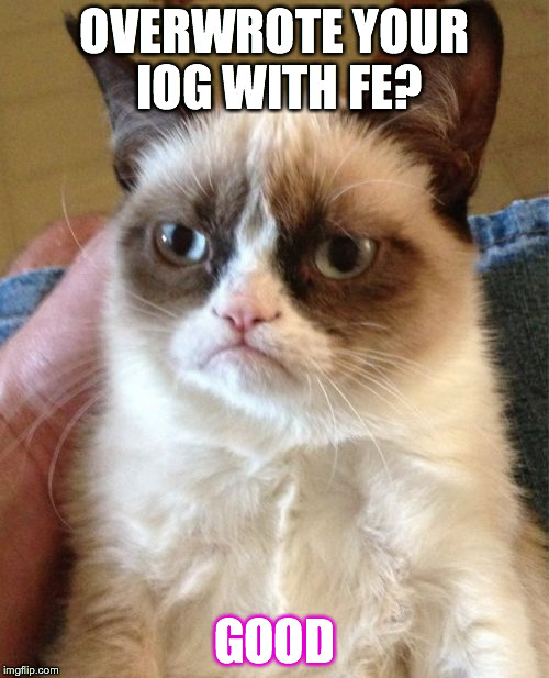 Grumpy Cat Meme | OVERWROTE YOUR IOG WITH FE? GOOD | image tagged in memes,grumpy cat | made w/ Imgflip meme maker
