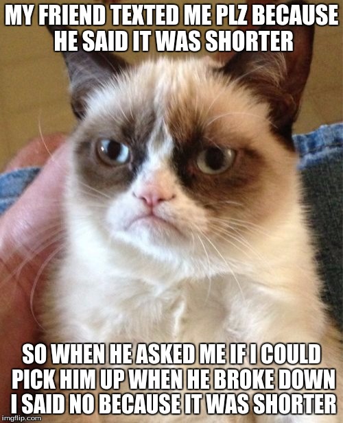 Grumpy Cat | MY FRIEND TEXTED ME PLZ BECAUSE HE SAID IT WAS SHORTER SO WHEN HE ASKED ME IF I COULD PICK HIM UP WHEN HE BROKE DOWN I SAID NO BECAUSE IT WA | image tagged in memes,grumpy cat | made w/ Imgflip meme maker