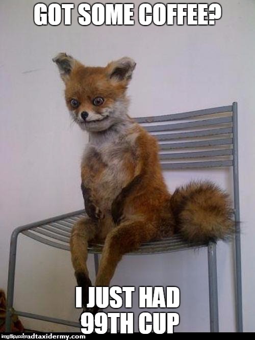 Fox That Just Woke Up | GOT SOME COFFEE? I JUST HAD 99TH CUP | image tagged in i just woke up fox,animals,creepy,coffee,morning | made w/ Imgflip meme maker