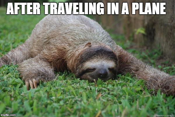 Sleeping sloth | AFTER TRAVELING IN A PLANE | image tagged in sleeping sloth | made w/ Imgflip meme maker