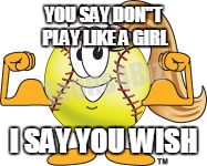YOU SAY DON"T PLAY LIKE A GIRL I SAY YOU WISH | image tagged in softball003jpg | made w/ Imgflip meme maker