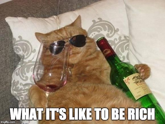 u mad bruh | WHAT IT'S LIKE TO BE RICH | image tagged in funny cat birthday,funny | made w/ Imgflip meme maker