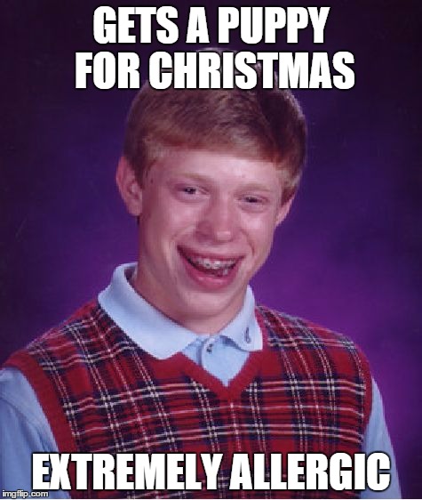 Bad Luck Brian Meme | GETS A PUPPY FOR CHRISTMAS EXTREMELY ALLERGIC | image tagged in memes,bad luck brian | made w/ Imgflip meme maker