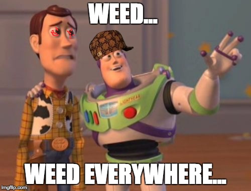 X, X Everywhere | WEED... WEED EVERYWHERE... | image tagged in memes,x x everywhere,scumbag | made w/ Imgflip meme maker
