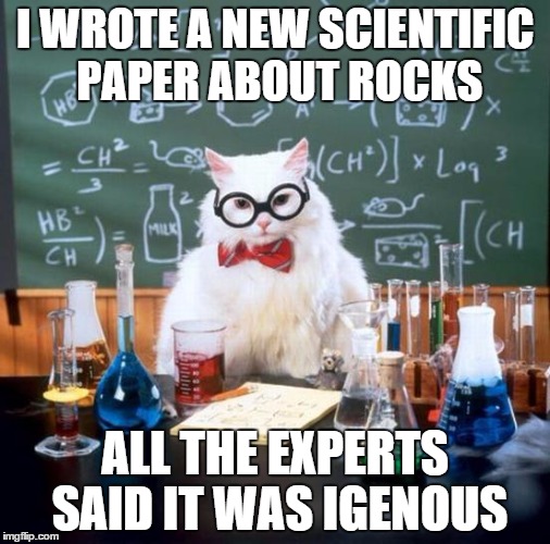 Chemistry Cat | I WROTE A NEW SCIENTIFIC PAPER ABOUT ROCKS ALL THE EXPERTS SAID IT WAS IGENOUS | image tagged in memes,chemistry cat | made w/ Imgflip meme maker