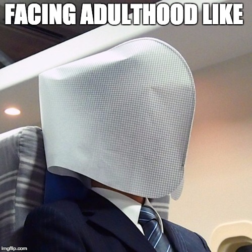 FACING ADULTHOOD LIKE | made w/ Imgflip meme maker