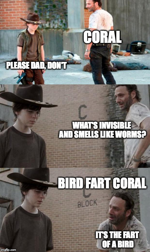 Rick and Carl 3 Meme | CORAL PLEASE DAD, DON'T WHAT'S INVISIBLE AND SMELLS LIKE WORMS? BIRD FART CORAL IT'S THE FART OF A BIRD | image tagged in memes,rick and carl 3 | made w/ Imgflip meme maker