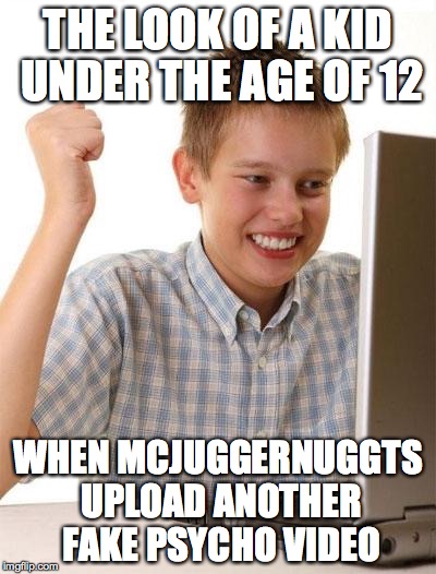 First Day On The Internet Kid | THE LOOK OF A KID UNDER THE AGE OF 12 WHEN MCJUGGERNUGGTS UPLOAD ANOTHER FAKE PSYCHO VIDEO | image tagged in memes,first day on the internet kid | made w/ Imgflip meme maker