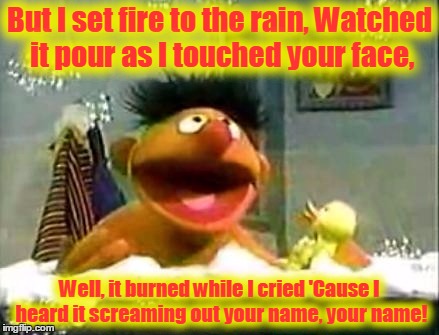 But I set fire to the rain,
Watched it pour as I touched your face, Well, it burned while I cried
'Cause I heard it screaming out your name, | made w/ Imgflip meme maker