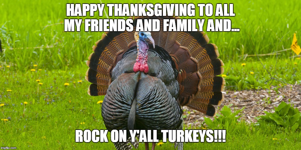 Thanksgiving turkey | HAPPY THANKSGIVING TO ALL MY FRIENDS AND FAMILY AND... ROCK ON Y'ALL TURKEYS!!! | image tagged in thanksgiving,friends turkey,turkey,rock on turkey | made w/ Imgflip meme maker