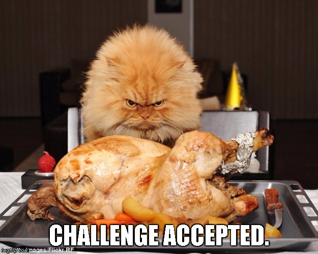 Happy Thanksgiving | CHALLENGE ACCEPTED. | image tagged in cat,challenge accepted | made w/ Imgflip meme maker