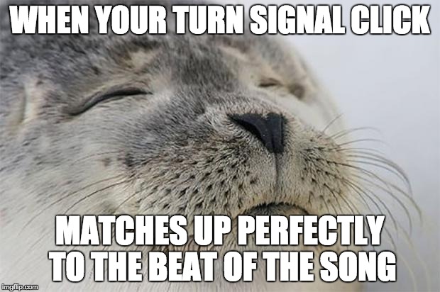 Satisfied Seal Meme | WHEN YOUR TURN SIGNAL CLICK MATCHES UP PERFECTLY TO THE BEAT OF THE SONG | image tagged in memes,satisfied seal,AdviceAnimals | made w/ Imgflip meme maker