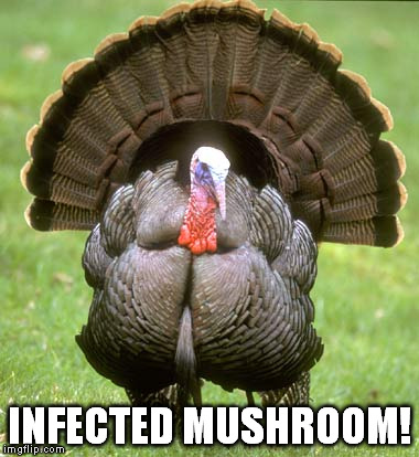 Infected Mushroom Vicious Delicious Торрент Infected Mushroom Vicious Delicious Торрент