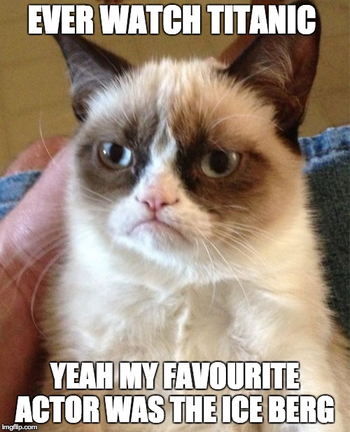 Grumpy Cat | EVER WATCH TITANIC YEAH MY FAVOURITE ACTOR WAS THE ICE BERG | image tagged in memes,grumpy cat | made w/ Imgflip meme maker