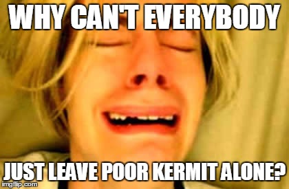 WHY CAN'T EVERYBODY JUST LEAVE POOR KERMIT ALONE? | made w/ Imgflip meme maker