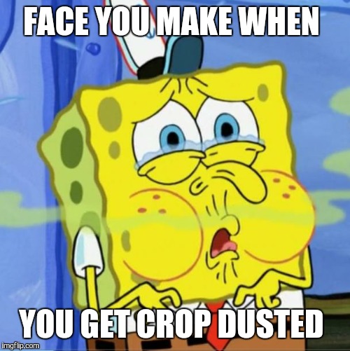 bad smell | FACE YOU MAKE WHEN YOU GET CROP DUSTED | image tagged in bad smell | made w/ Imgflip meme maker