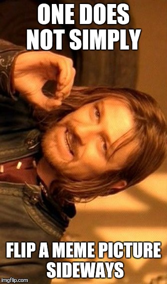 One Does Not Simply | ONE DOES NOT SIMPLY FLIP A MEME PICTURE SIDEWAYS | image tagged in memes,one does not simply | made w/ Imgflip meme maker