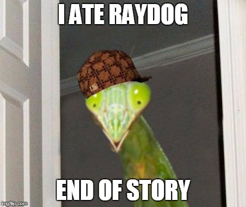 Scumbag Mantis | I ATE RAYDOG END OF STORY | image tagged in scumbag mantis | made w/ Imgflip meme maker