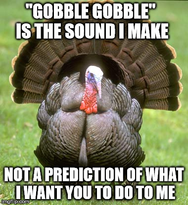 Turkey | "GOBBLE GOBBLE" IS THE SOUND I MAKE NOT A PREDICTION OF WHAT I WANT YOU TO DO TO ME | image tagged in memes,turkey | made w/ Imgflip meme maker