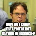 dwight | HOW DO I KNOW THAT YOU'RE NOT RAYDOG IN DISGUISE? | image tagged in dwight | made w/ Imgflip meme maker