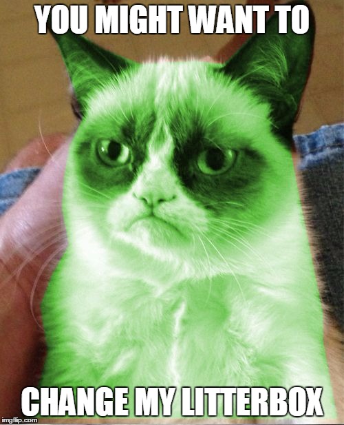 Radioactive Grumpy | YOU MIGHT WANT TO CHANGE MY LITTERBOX | image tagged in radioactive grumpy,grumpy cat,memes | made w/ Imgflip meme maker