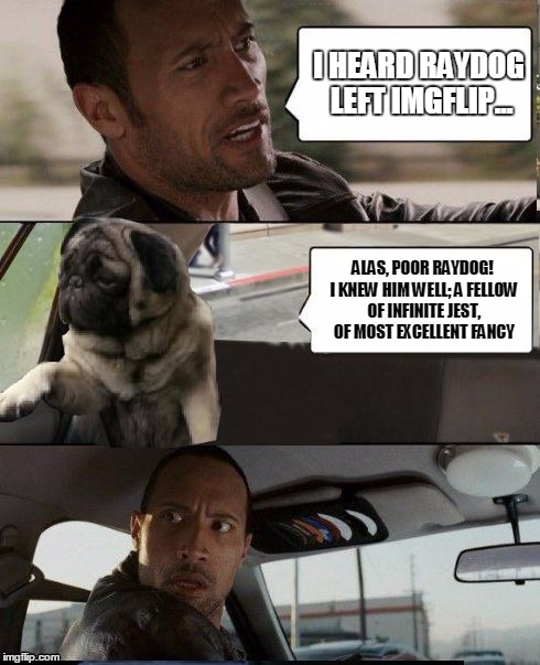 The Rock driving "Shakespug" | I HEARD RAYDOG LEFT IMGFLIP... ALAS, POOR RAYDOG! I KNEW HIM WELL; A FELLOW OF INFINITE JEST, OF MOST EXCELLENT FANCY | image tagged in rock driving pug,memes,the rock driving | made w/ Imgflip meme maker