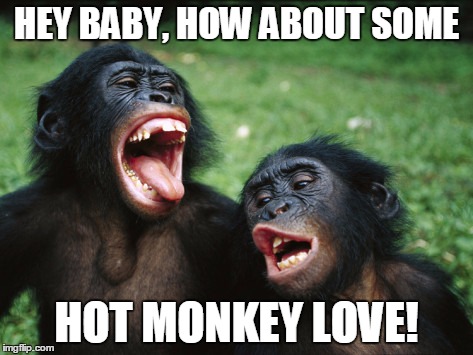 Bonobo Lyfe Meme | HEY BABY, HOW ABOUT SOME HOT MONKEY LOVE! | image tagged in memes,bonobo lyfe | made w/ Imgflip meme maker