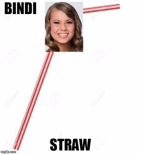 Bindi Straw | BINDI STRAW | image tagged in bindi straw | made w/ Imgflip meme maker