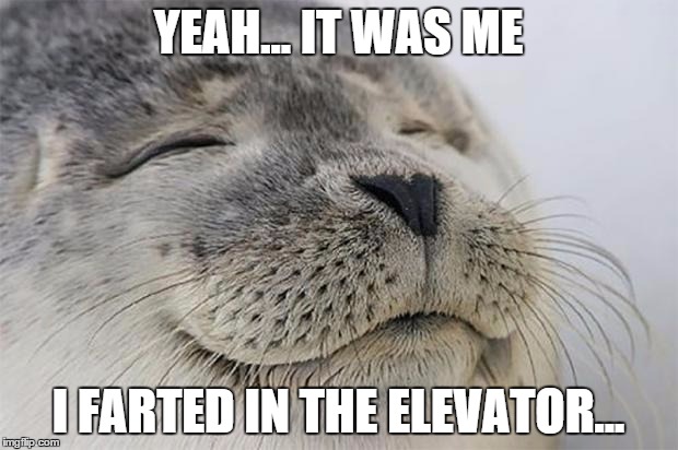 Satisfied Seal | YEAH... IT WAS ME I FARTED IN THE ELEVATOR... | image tagged in memes,satisfied seal | made w/ Imgflip meme maker