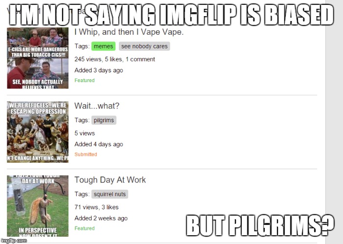 What is it about Pilgrims? | I'M NOT SAYING IMGFLIP IS BIASED BUT PILGRIMS? | image tagged in pilgrims | made w/ Imgflip meme maker