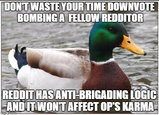 Actual Advice Mallard | DON'T WASTE YOUR TIME DOWNVOTE BOMBING A  FELLOW REDDITOR REDDIT HAS ANTI-BRIGADING LOGIC AND IT WON'T AFFECT OP'S KARMA | image tagged in memes,actual advice mallard | made w/ Imgflip meme maker
