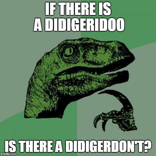 Philosoraptor | IF THERE IS A DIDIGERIDOO IS THERE A DIDIGERDON'T? | image tagged in memes,philosoraptor | made w/ Imgflip meme maker