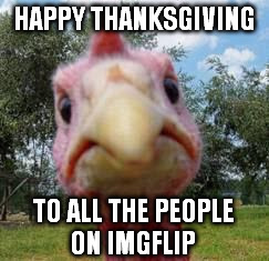 turkey | HAPPY THANKSGIVING TO ALL THE PEOPLE ON IMGFLIP | image tagged in turkey | made w/ Imgflip meme maker