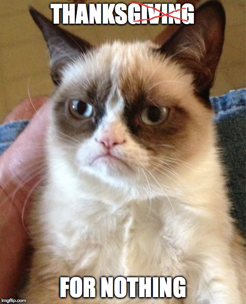 Grumpy Cat | THANKSGIVING FOR NOTHING | image tagged in memes,grumpy cat | made w/ Imgflip meme maker