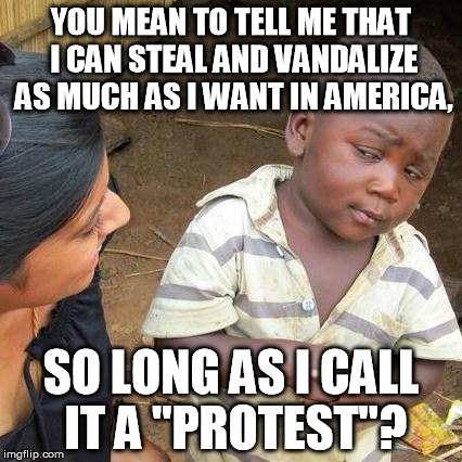 Third World Skeptical Kid Meme | YOU MEAN TO TELL ME THAT I CAN STEAL AND VANDALIZE AS MUCH AS I WANT IN AMERICA, SO LONG AS I CALL IT A "PROTEST"? | image tagged in memes,third world skeptical kid | made w/ Imgflip meme maker