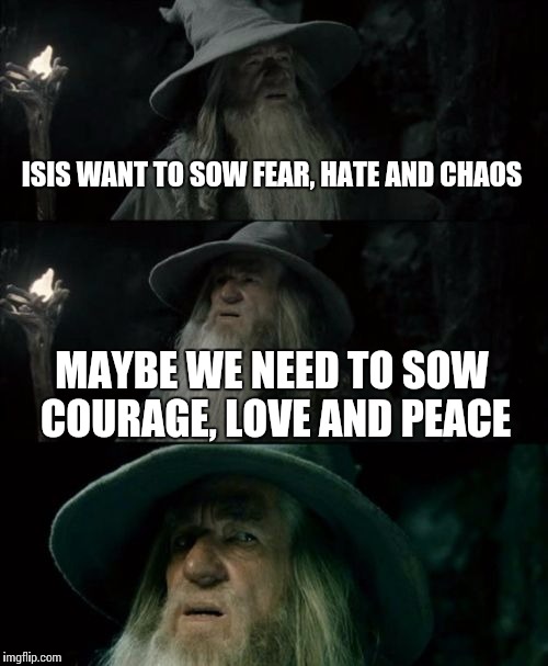 Be strong.  Stand against ISIS | ISIS WANT TO SOW FEAR, HATE AND CHAOS MAYBE WE NEED TO SOW COURAGE, LOVE AND PEACE | image tagged in memes,confused gandalf | made w/ Imgflip meme maker