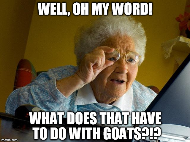 It just looks like someone ripping a tomato apart with their hands!  | WELL, OH MY WORD! WHAT DOES THAT HAVE TO DO WITH GOATS?!? | image tagged in memes,grandma finds the internet | made w/ Imgflip meme maker