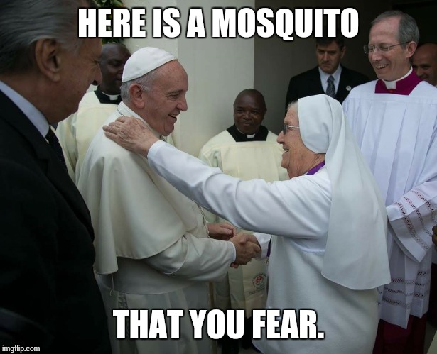 Pope  | HERE IS A MOSQUITO THAT YOU FEAR. | image tagged in pope francis | made w/ Imgflip meme maker