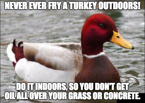 Malicious Advice Mallard | NEVER EVER FRY A TURKEY OUTDOORS! DO IT INDOORS, SO YOU DON'T GET OIL ALL OVER YOUR GRASS OR CONCRETE. | image tagged in memes,malicious advice mallard | made w/ Imgflip meme maker