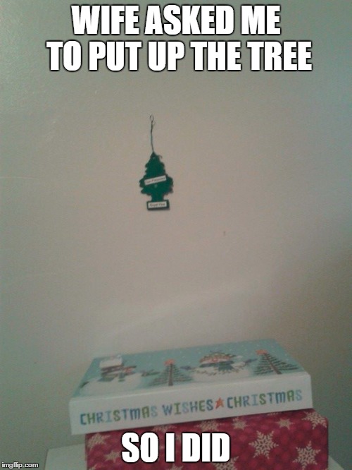 Awesome hubby | WIFE ASKED ME TO PUT UP THE TREE SO I DID | image tagged in christmas,tree,wife | made w/ Imgflip meme maker