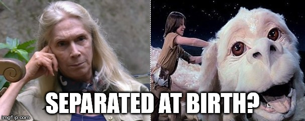 SEPARATED AT BIRTH? | image tagged in i'm a celebrity,lady colin,neverending story | made w/ Imgflip meme maker