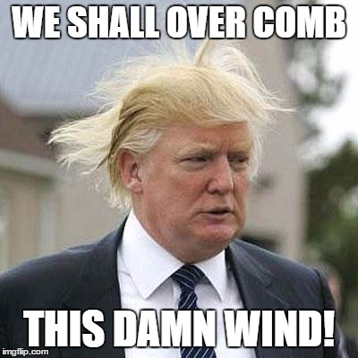 Donald Trump | WE SHALL OVER COMB THIS DAMN WIND! | image tagged in donald trump | made w/ Imgflip meme maker